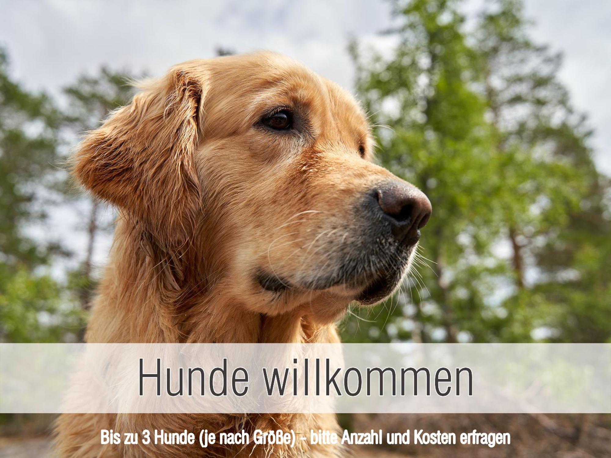 Huette41: Ganze Huette Nah Am See Mit Privatem Whirlpool, Sauna. Umzaeunt. Waldkirchen Eksteriør billede